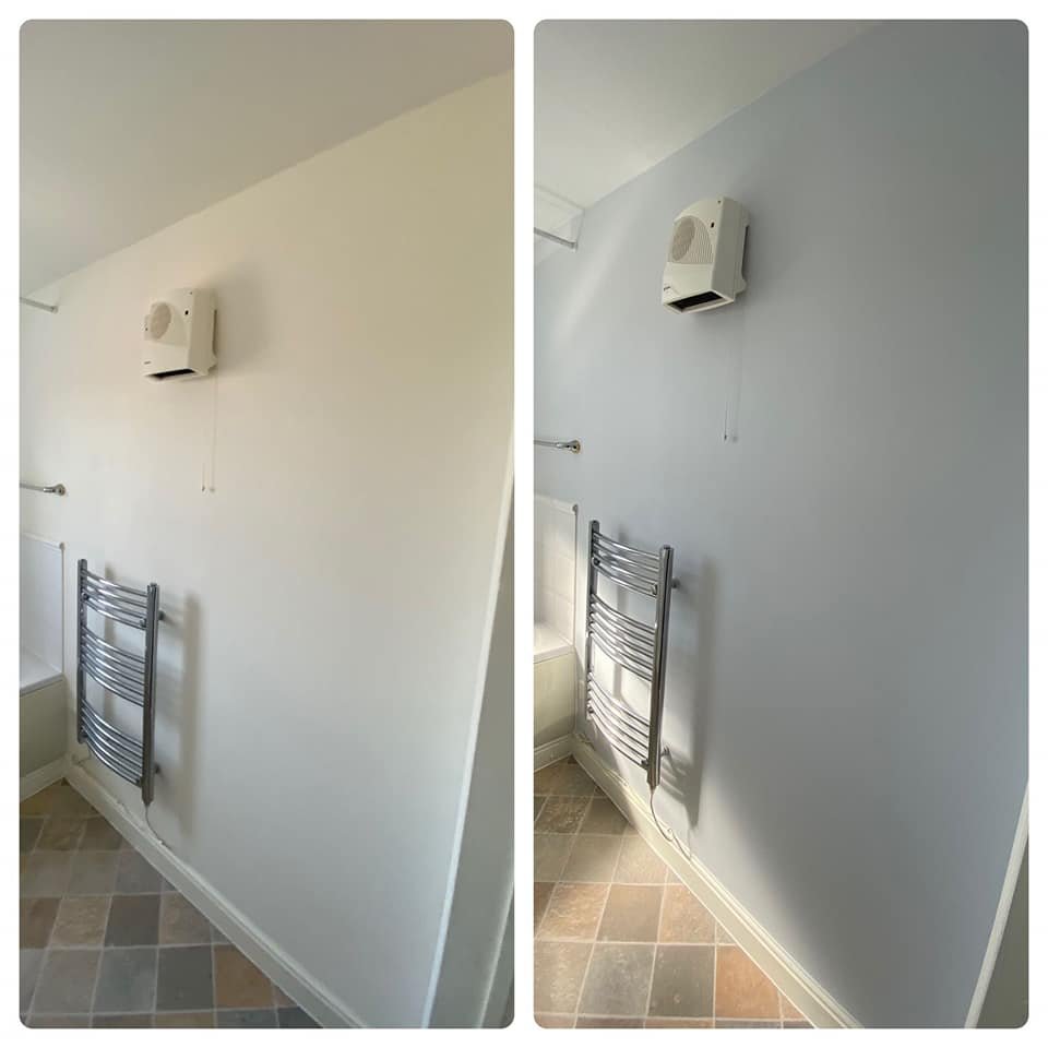 276237996 1936313386569817 5913139516480293091 n 1